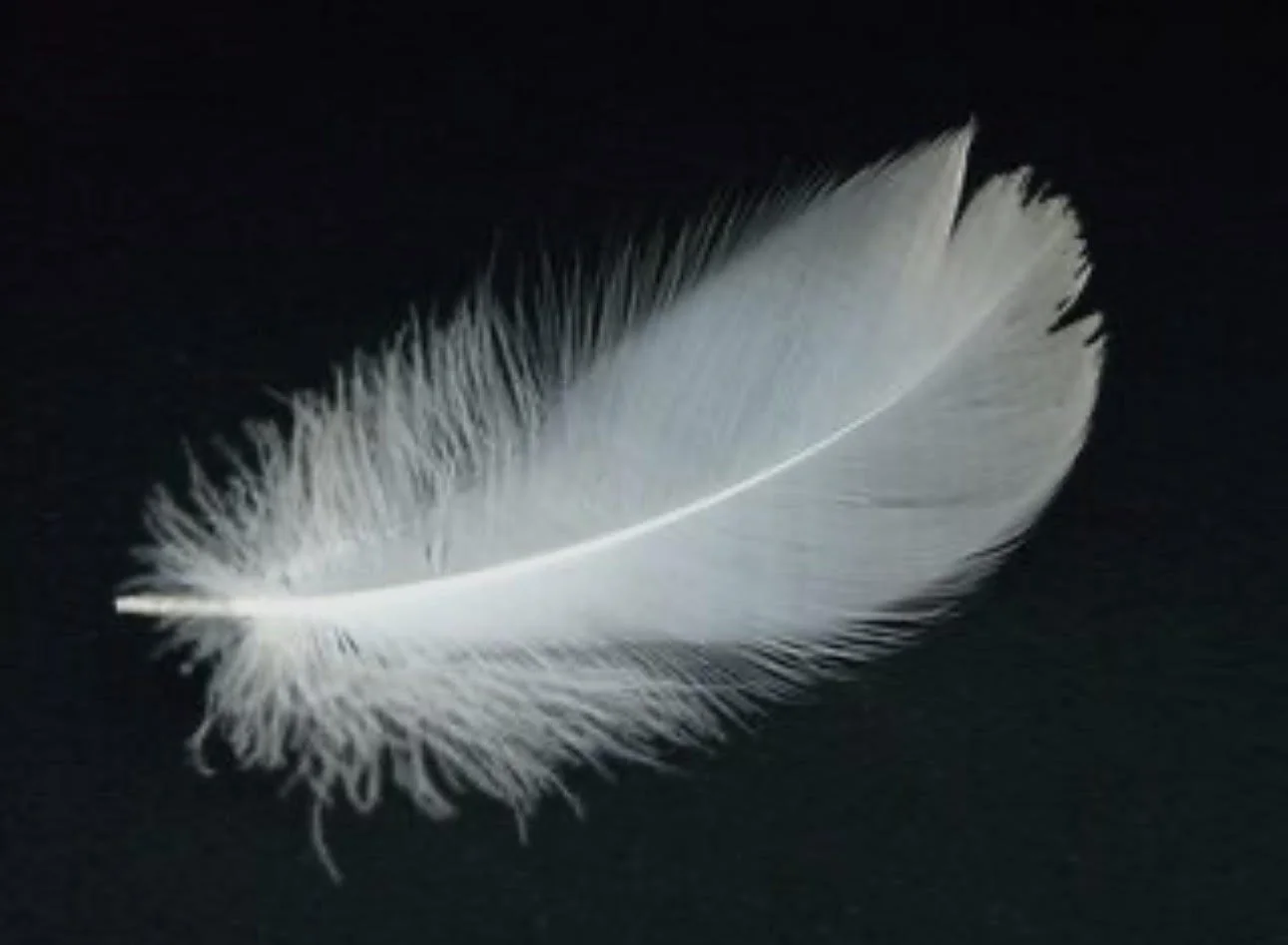 One to One Grief Support Session