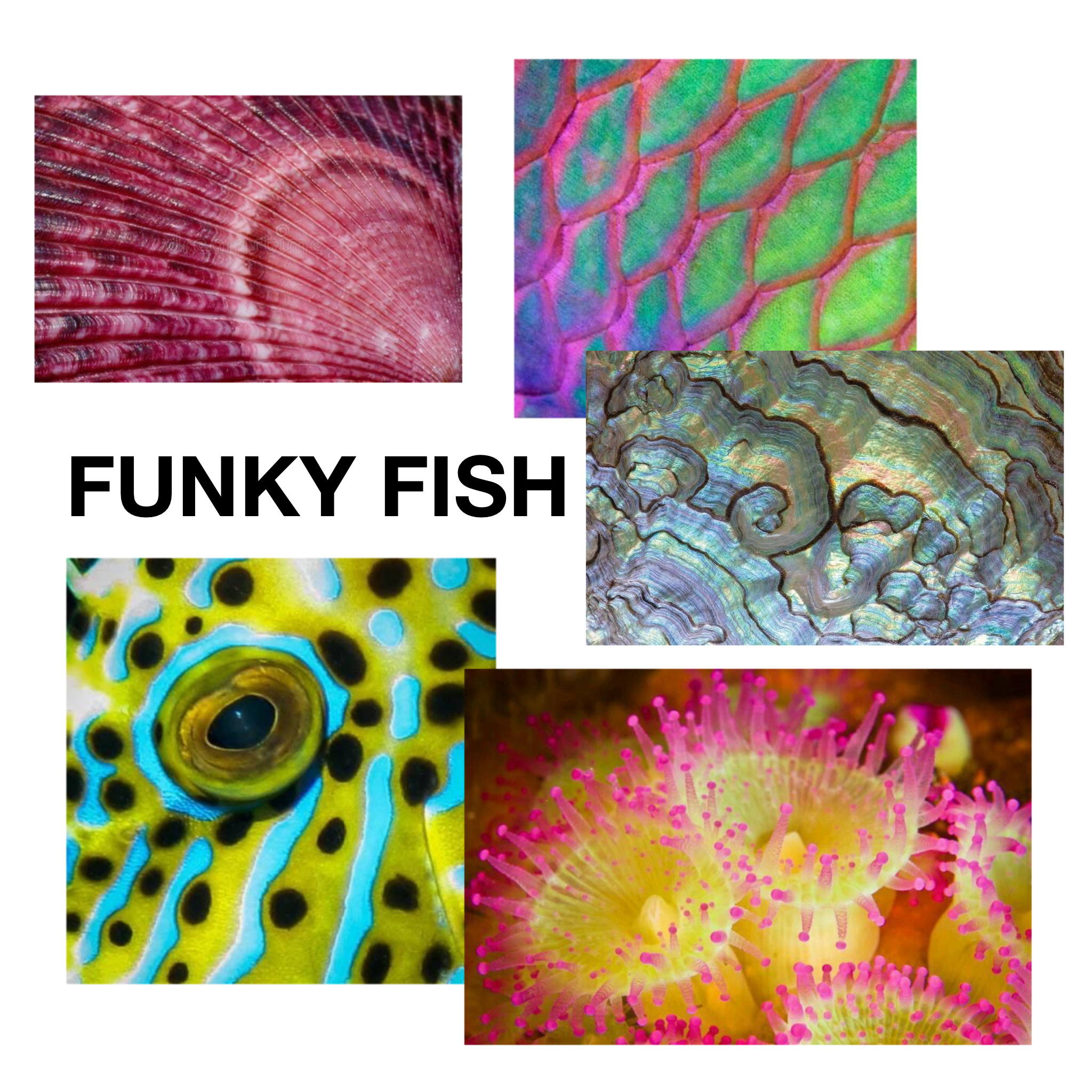Untitled_Artwork-1.png