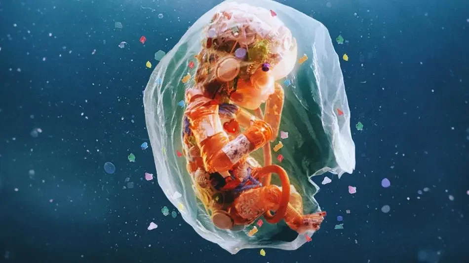 Credit: Plastic People Documentary