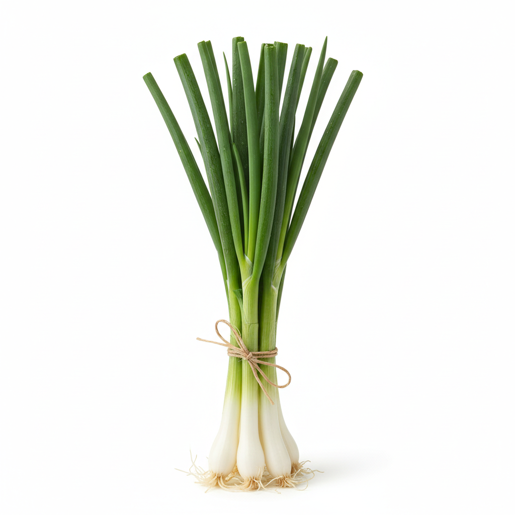 Spring Onion 青葱