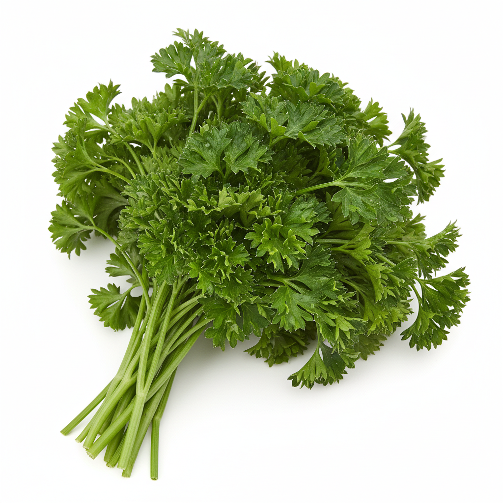 English Parsley 欧芹