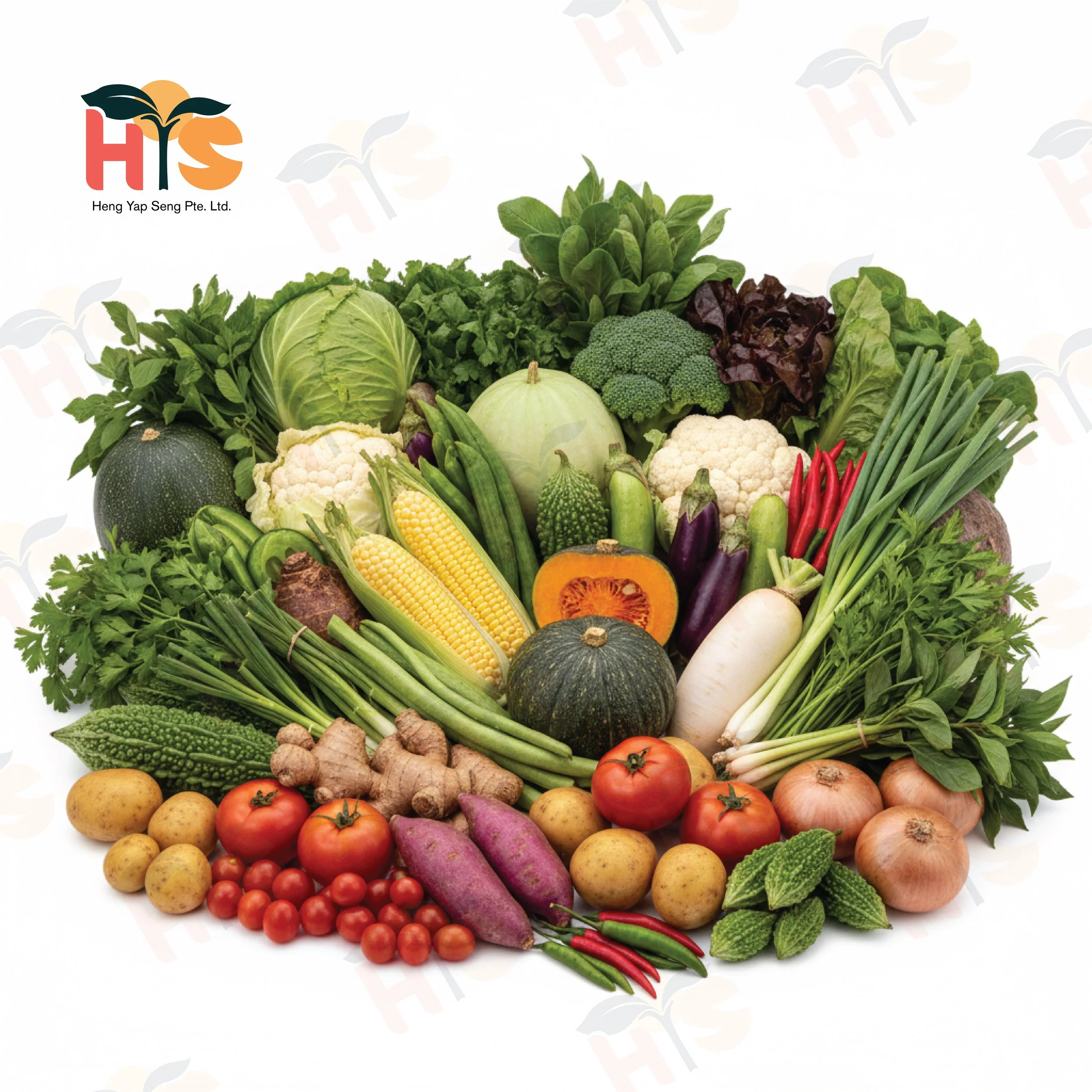 A group photo of fresh vegetables