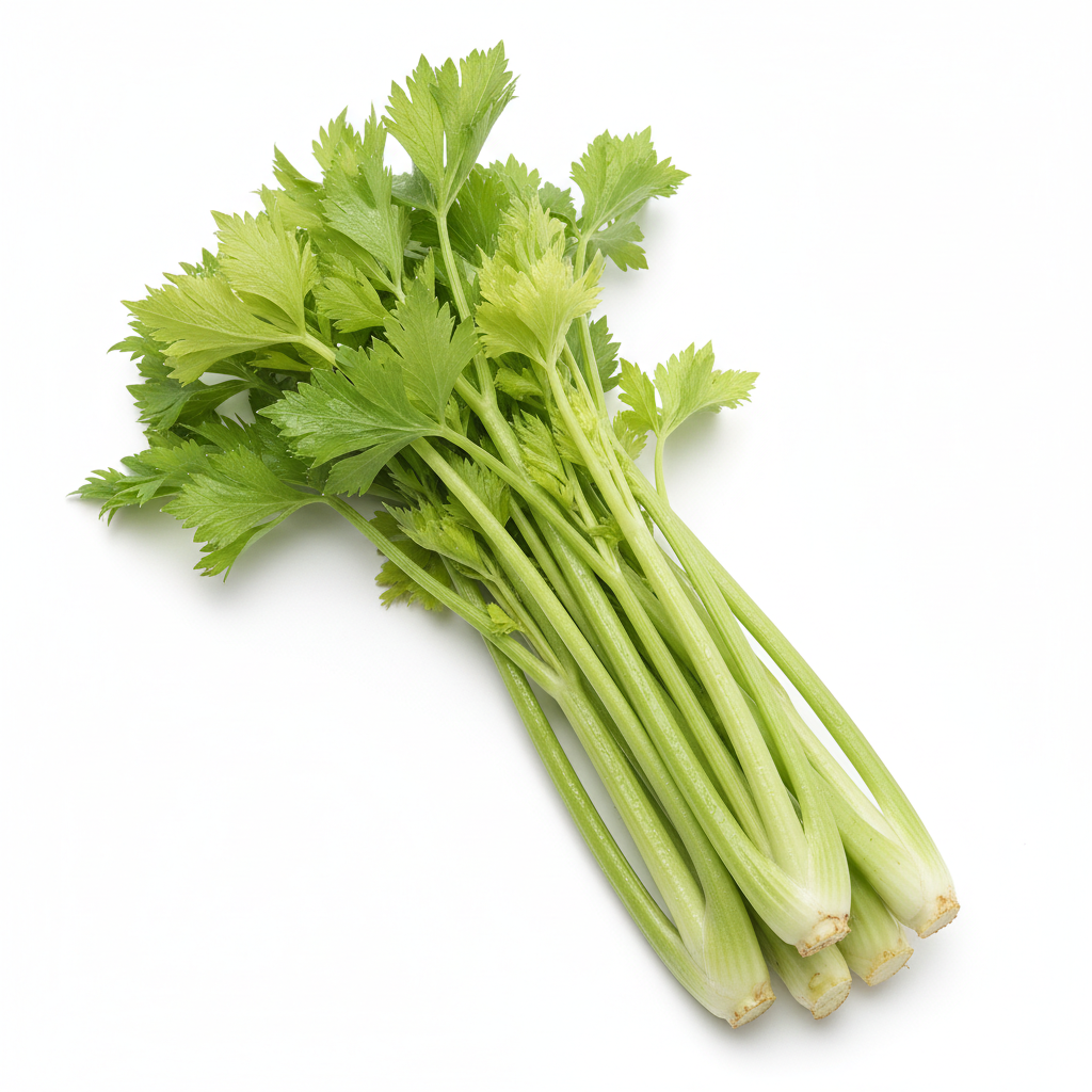 Chinese Celery 芹菜