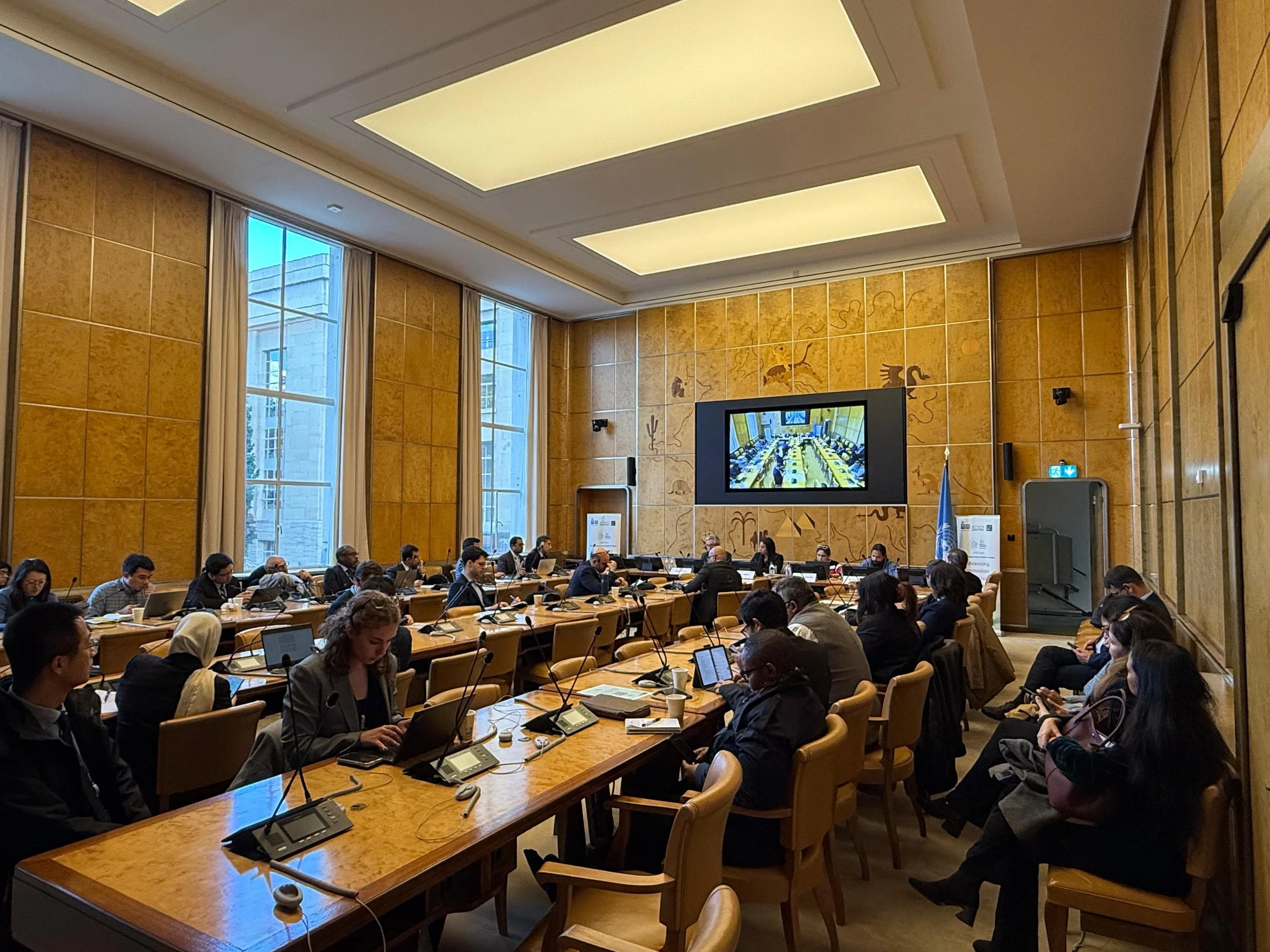 Advancing Innovation for Equitable AI Access