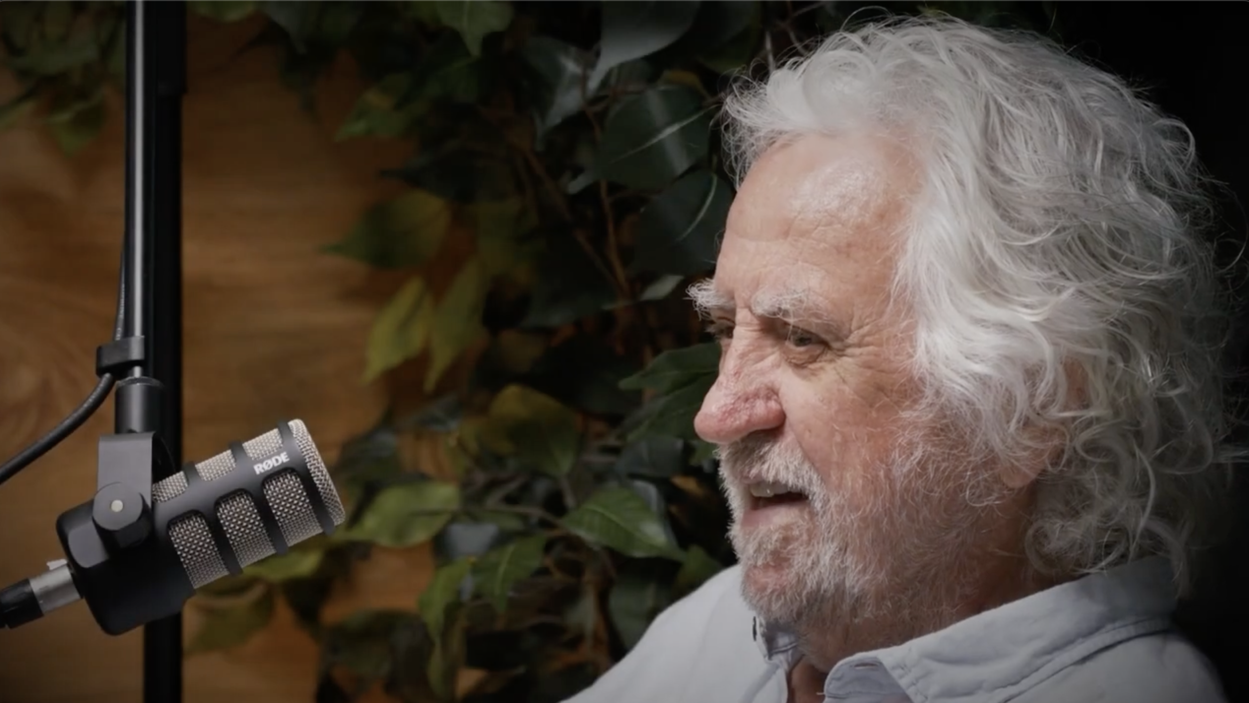 Screenshot 2025-08-24 at 4.50.14 PM.png