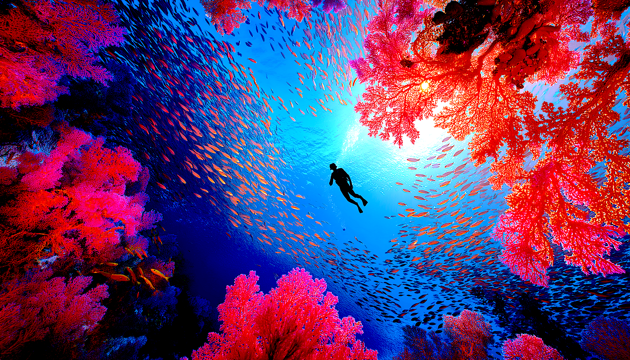 aps0460_29591_hyper-realistic_detailed_image_of_A_diver_swimmin_f735956e-ddc0-423a-81de-8dbcc24b39c3.png