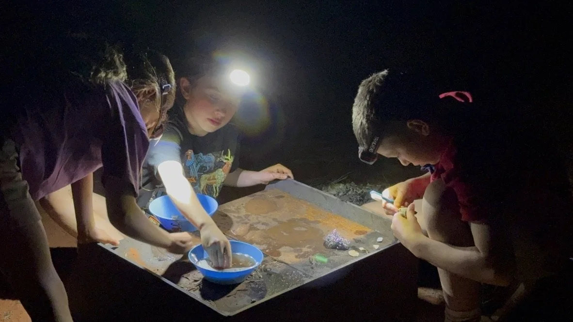 Children with headlamps exploring and collecting items from a large tray at night.