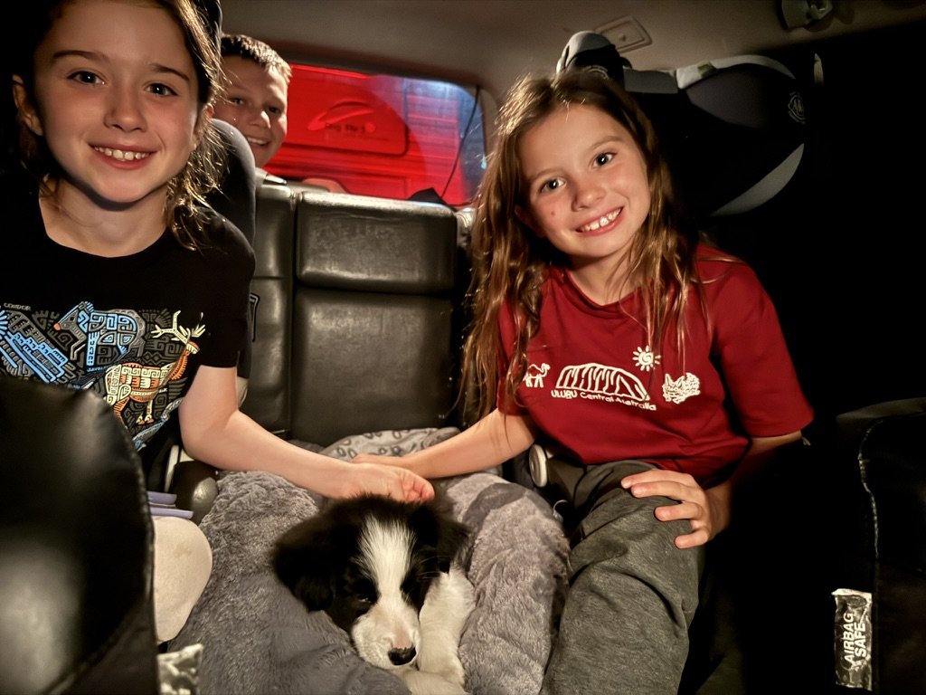 Four children and a puppy inside a vehicle, with two children in the foreground and two in the background, and a red window visible behind them.