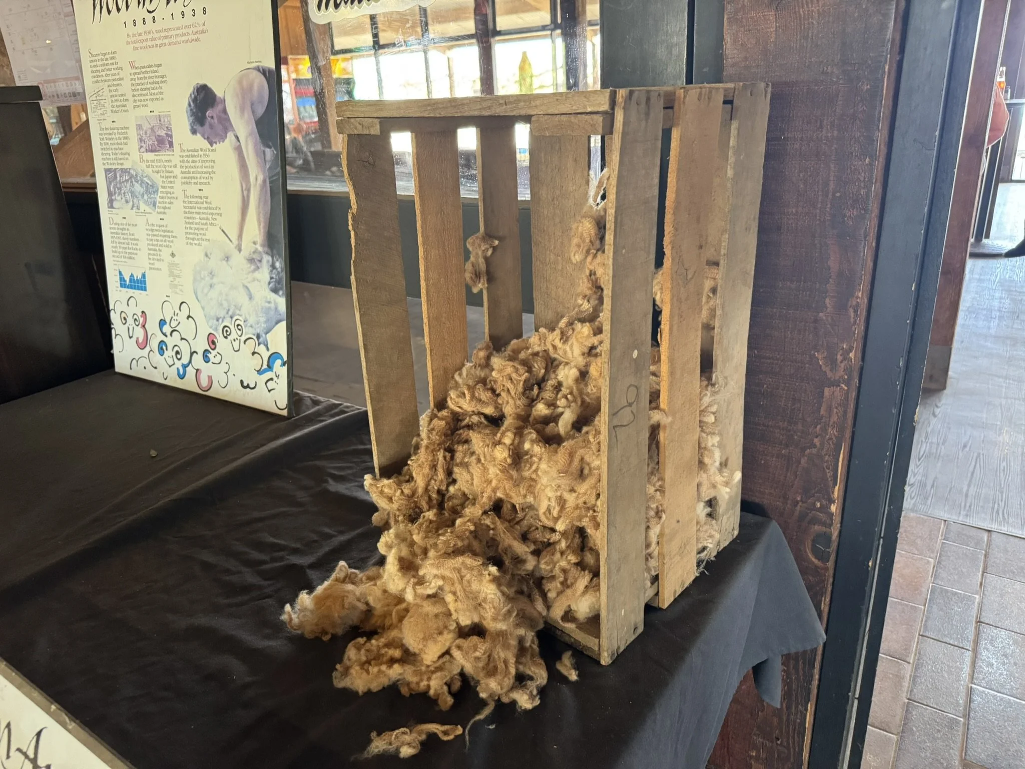 A wooden crate with torn wool inside, placed on a black table cloth, adjacent to a poster with a vintage photograph and handwritten notes.