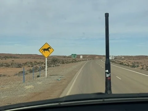 View of a desert highway with a camel crossing warning sign on the left side of the road. The photo is taken from inside a vehicle, with the highway stretching into the horizon and a tall black pole in the center of the road.