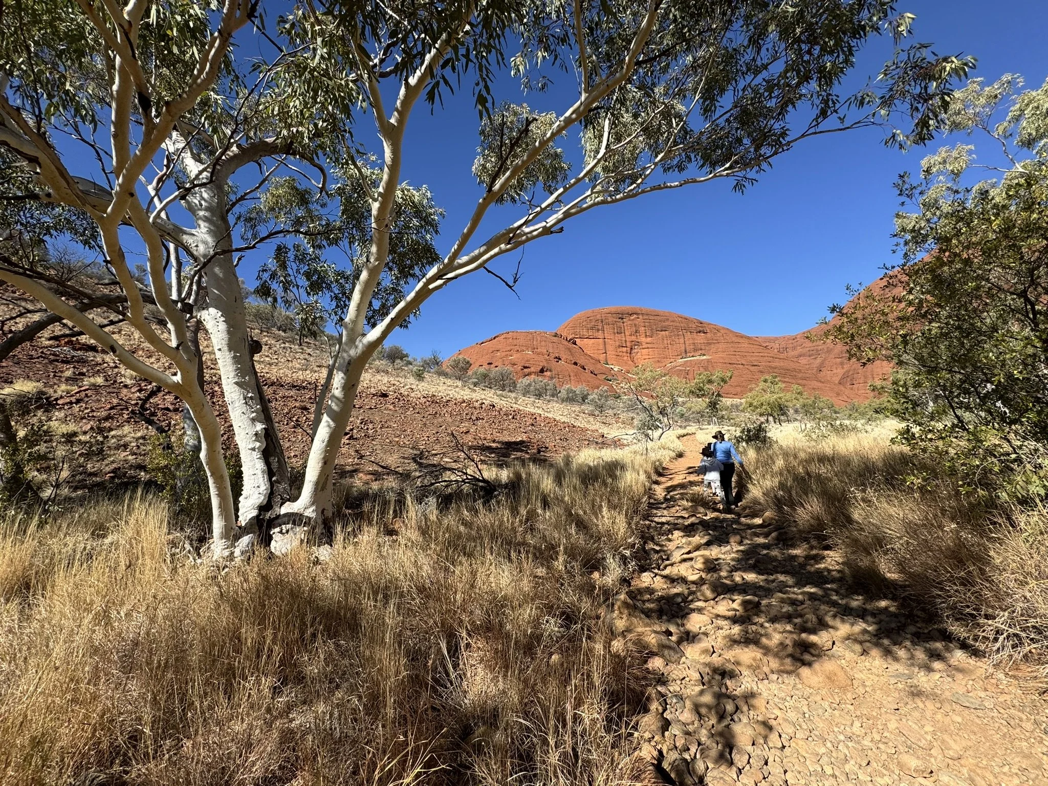 Two people hiking on a narrow rocky trail through a desert landscape with dry grass, a white-barked tree on the left, and red rock formations in the background under a clear blue sky.