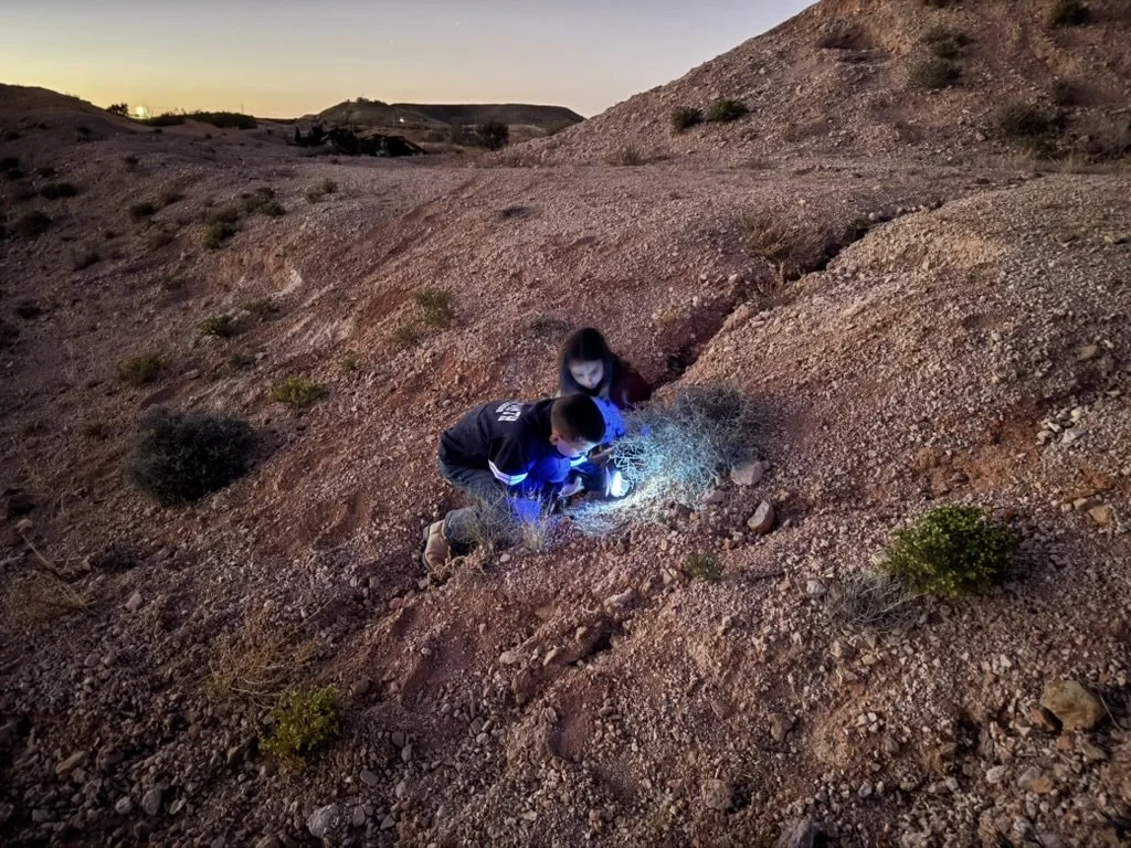 Two children in a desert landscape at dusk are examining a small plant with a glowing light.