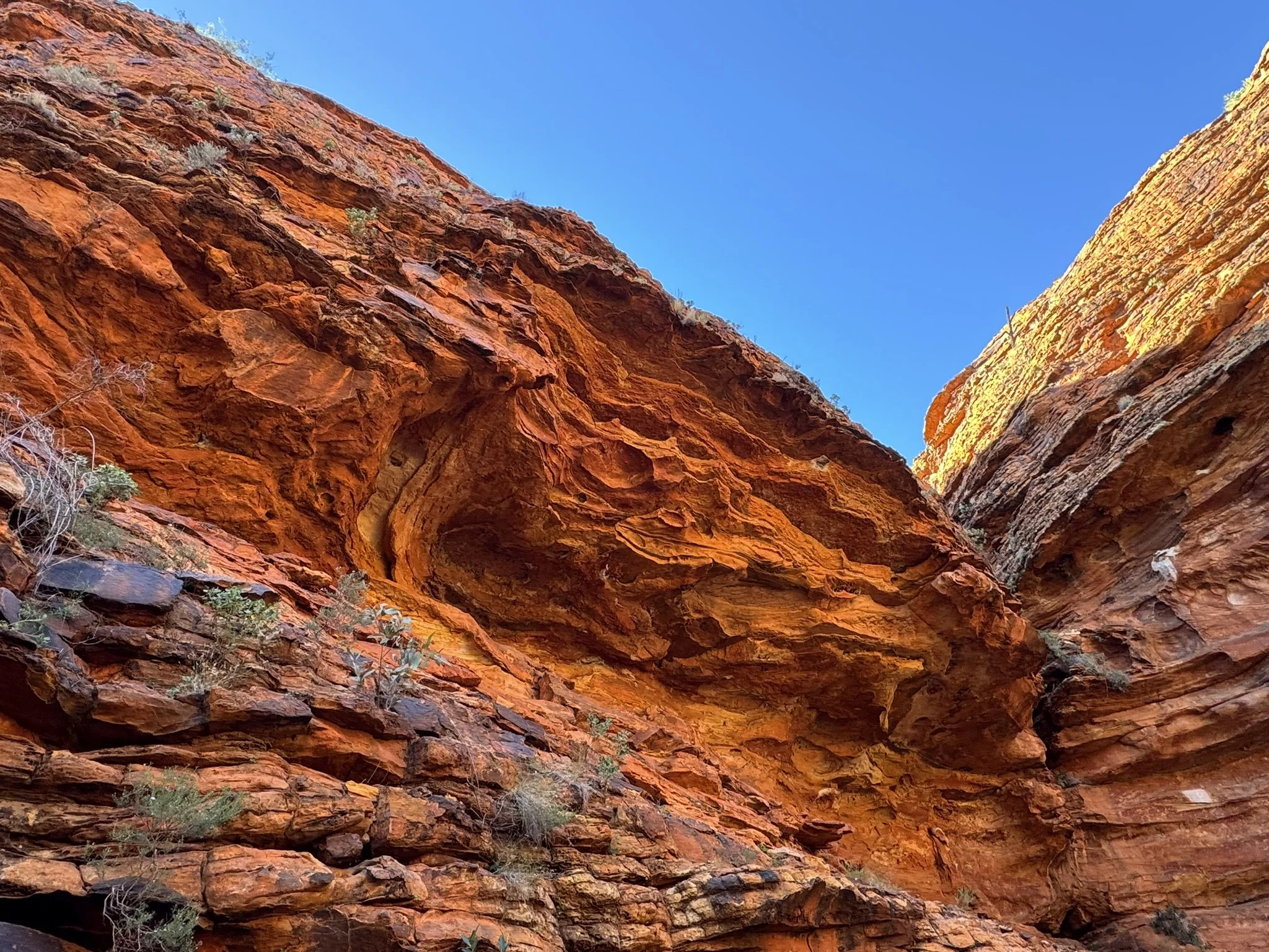 View of towering red rock canyon walls under a bright blue sky.