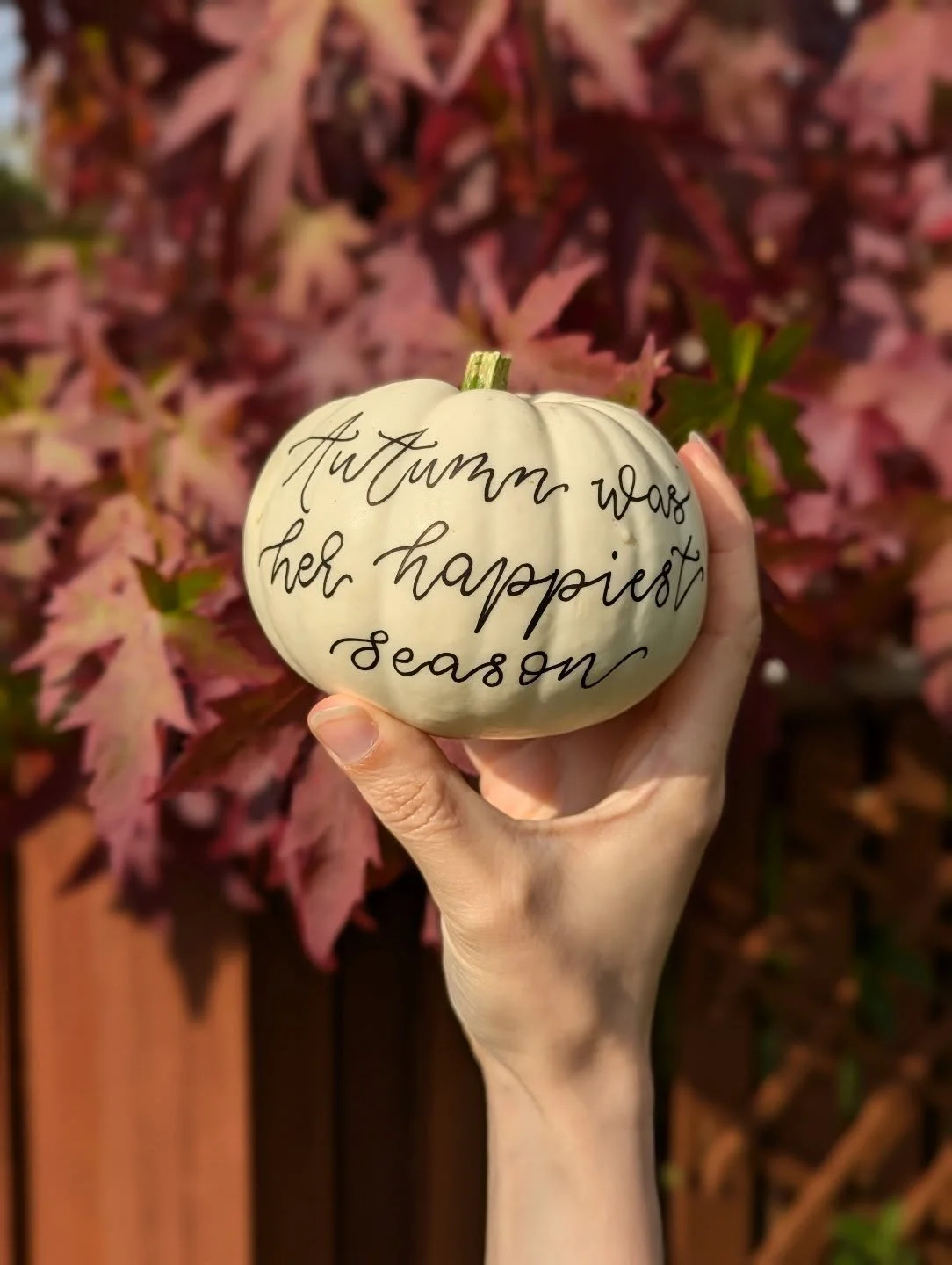 I've been so busy prepping for Christmas this year that I feel I've skipped my favourite season! 🍁🌰🍂🍄