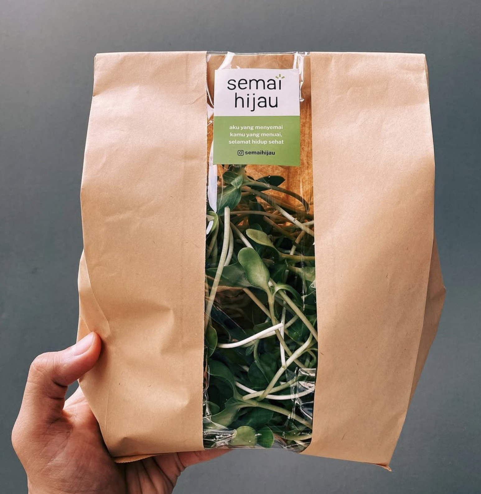 Semai Hijau