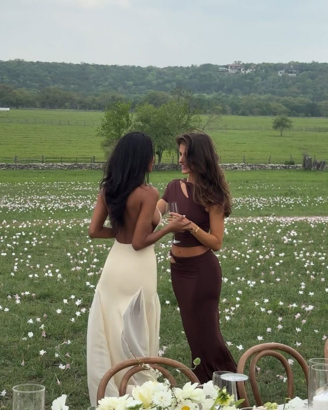 The Soft Companionship of Herbs