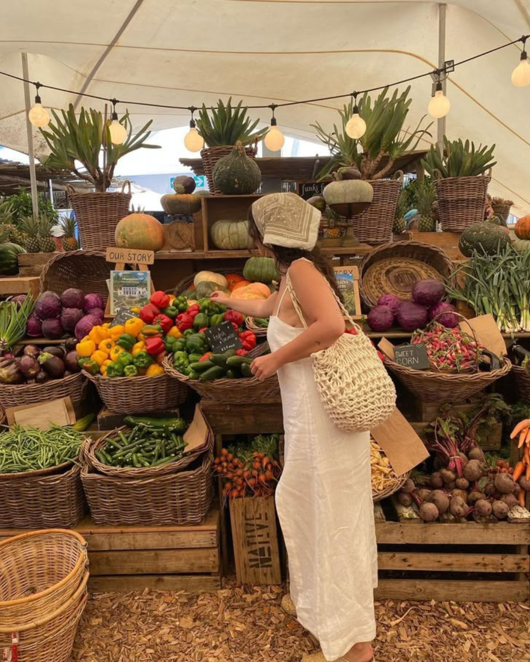 You Are What You Eat