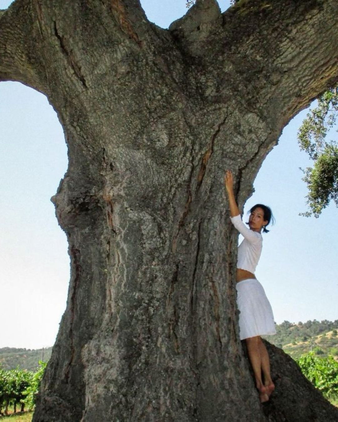 Sustainable Hobbies to Try This Summer&nbsp;