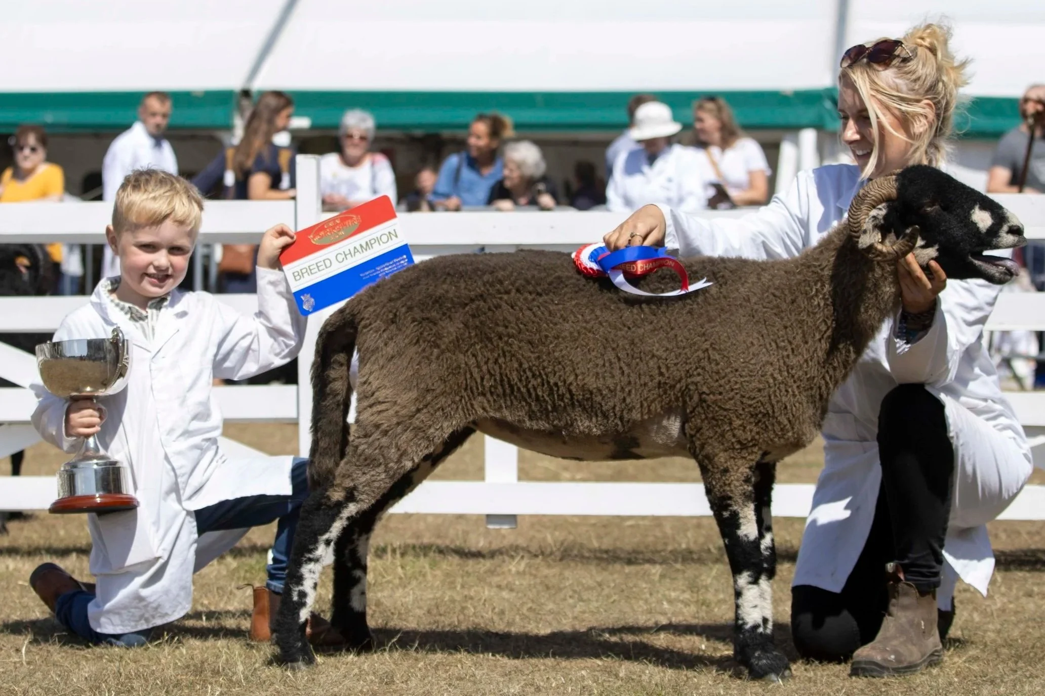 A young boy kneeling on one knee holding a silver trophy in his left hand and a red, white, and blue breed champion ribbon in his right hand, standing next to a sheep. The sheep has a dark face with white markings and a thick brown wool coat. A woman crouches beside the sheep, holding its head with her left hand and a ribbon in her right hand. The background shows people behind a white fence at an outdoor event, likely a livestock show or fair.