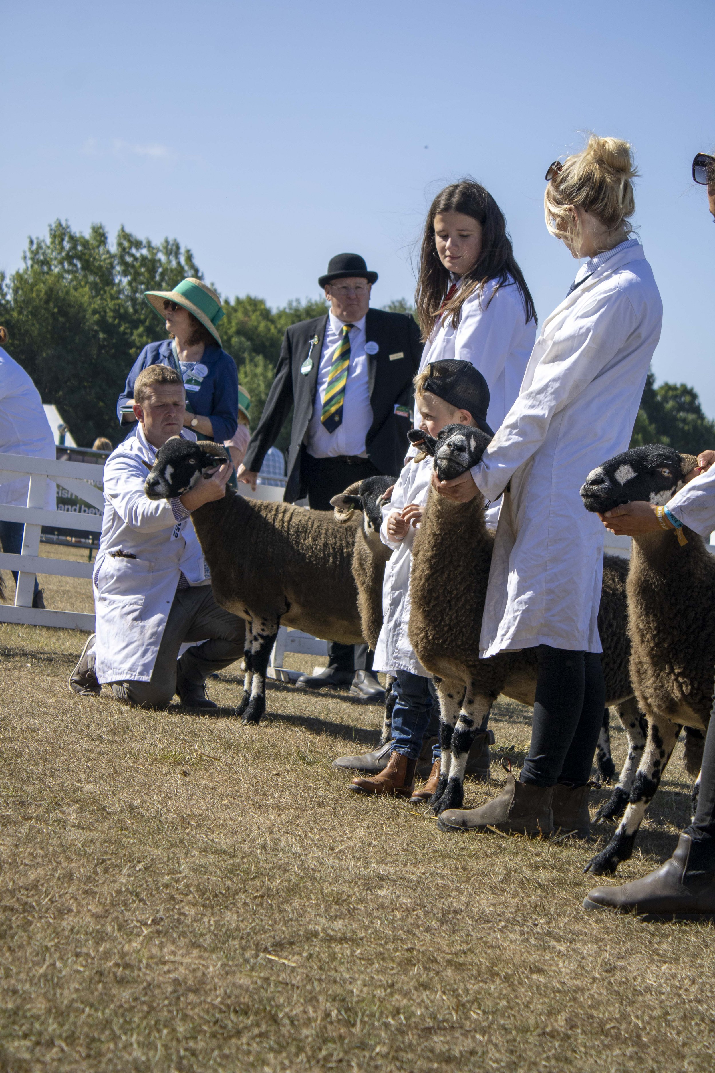 People at a livestock show handling sheep, with some individuals dressed in white coats and others in formal attire, under a clear blue sky.