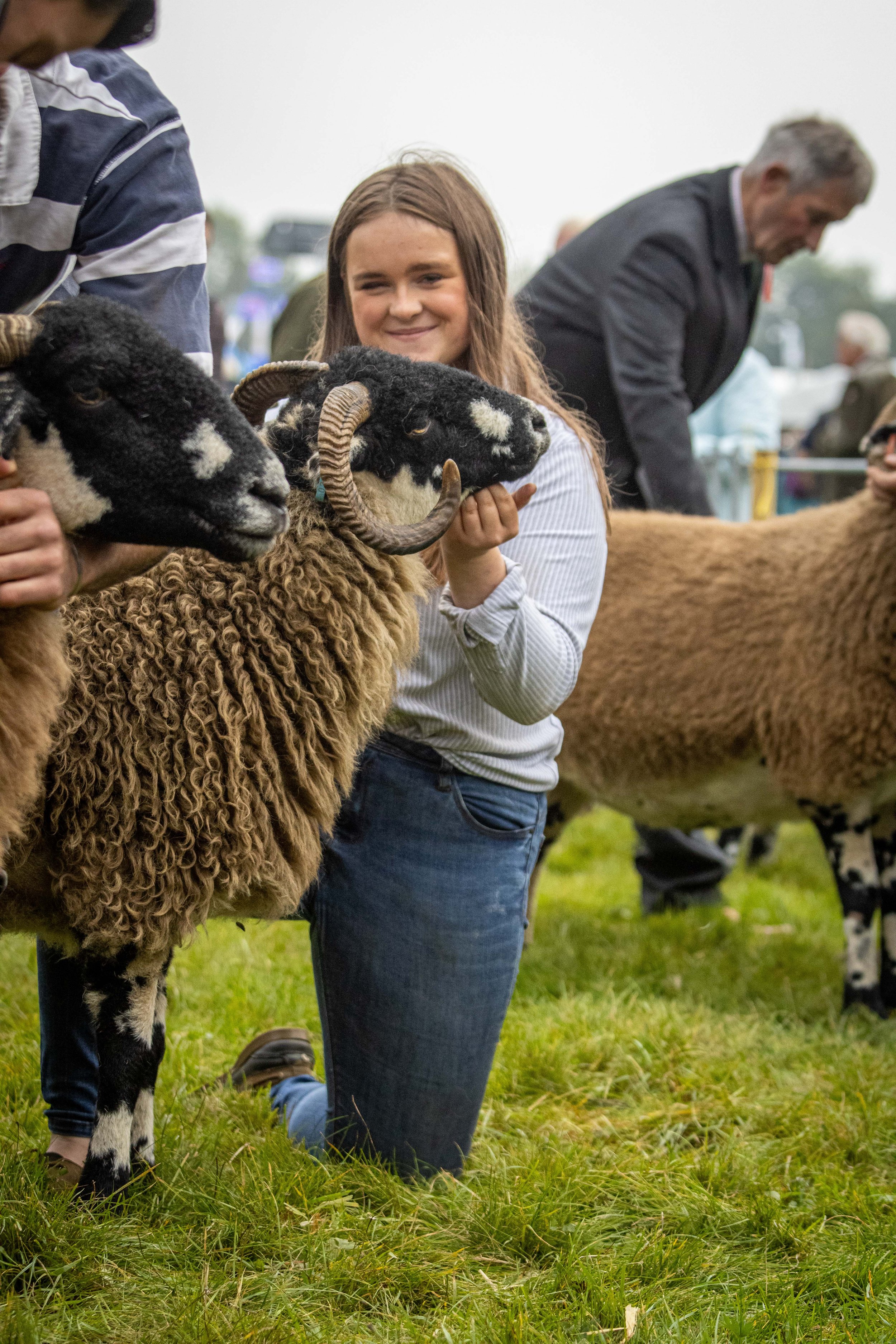 A girl kneeling on grass at a livestock show, holding two black-faced Dalesbred sheep with curly wool and curved horns. Other people and Dalesbred sheep are visible in the background.