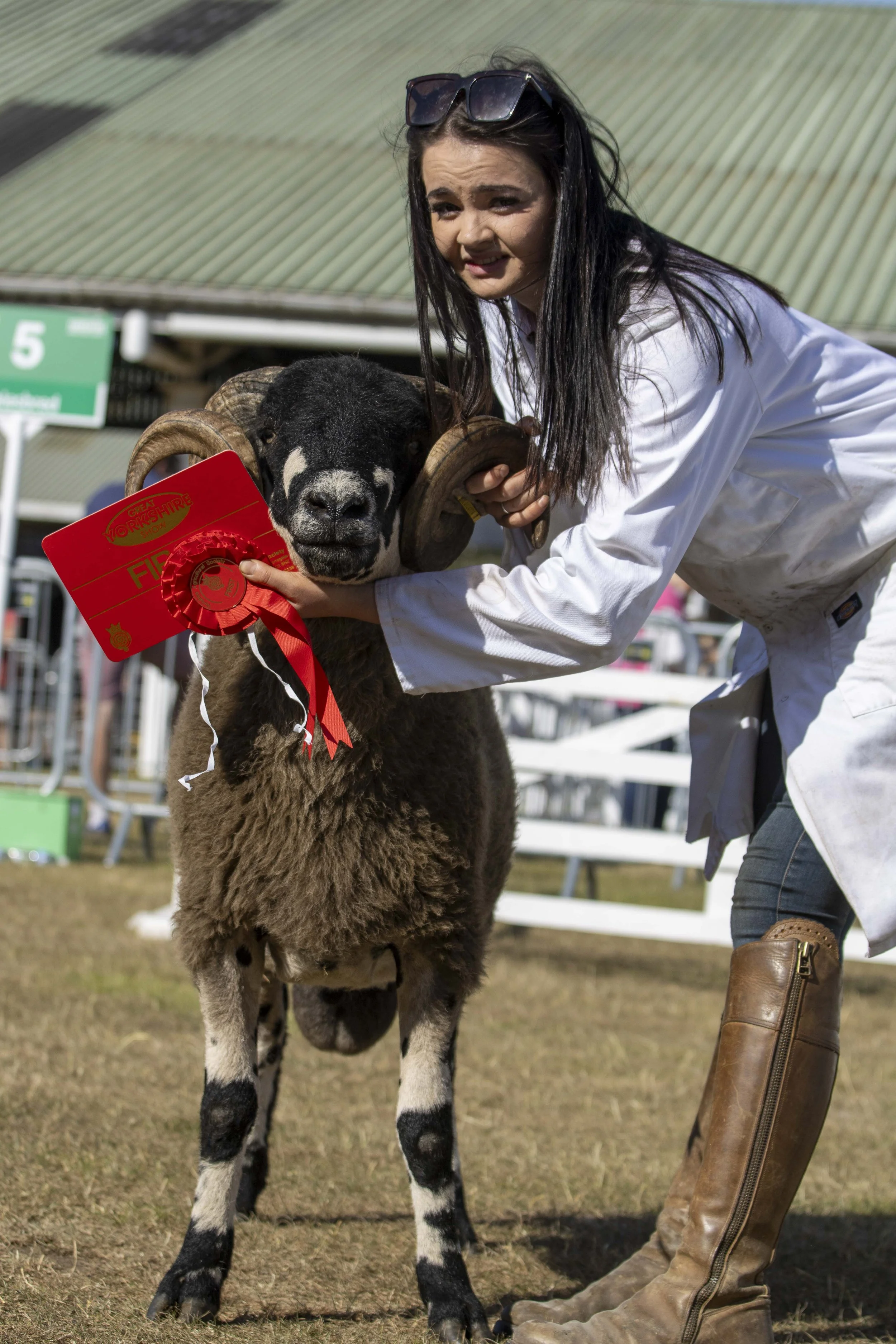 A woman with long dark hair wearing a white coat and brown boots is holding a black and white Dalesbred sheep with large curved horns and decorated with a red ribbon and ribbon rosette, at an outdoor event.