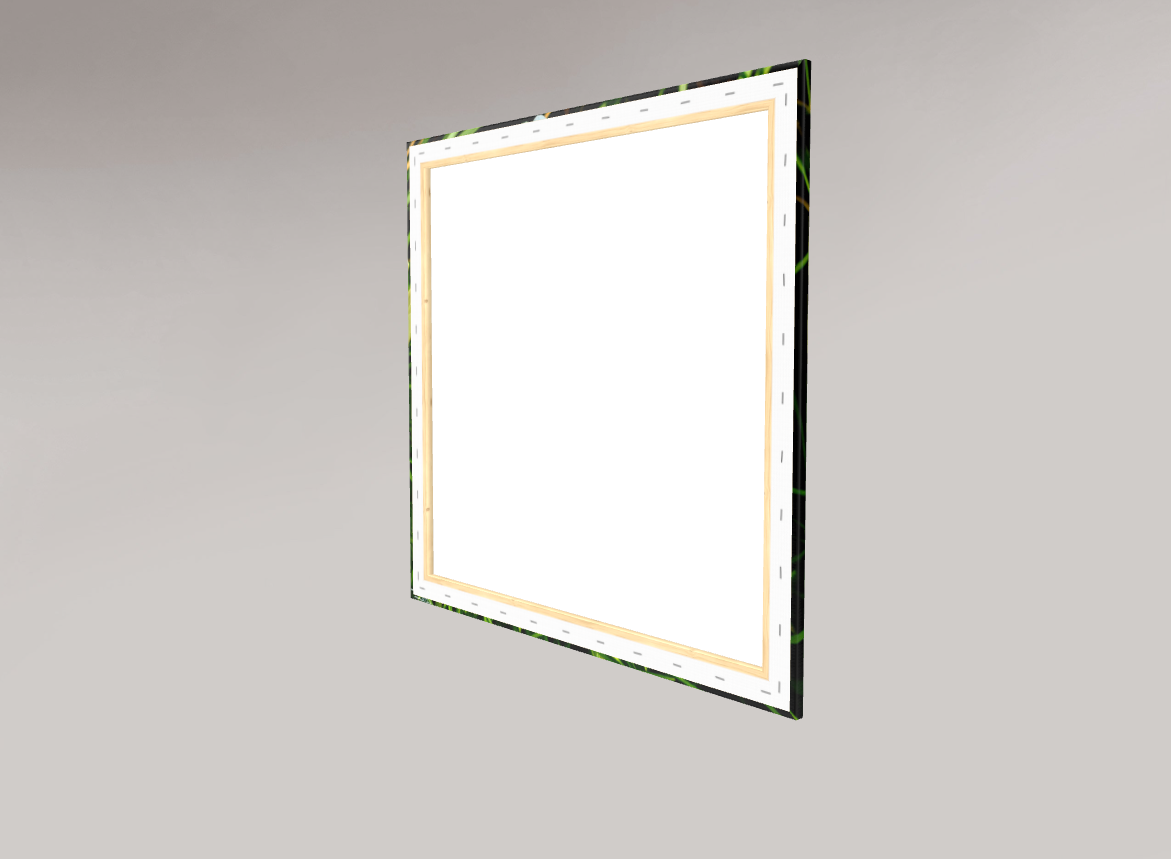 Moonlit Grace l Canvas rear view.png