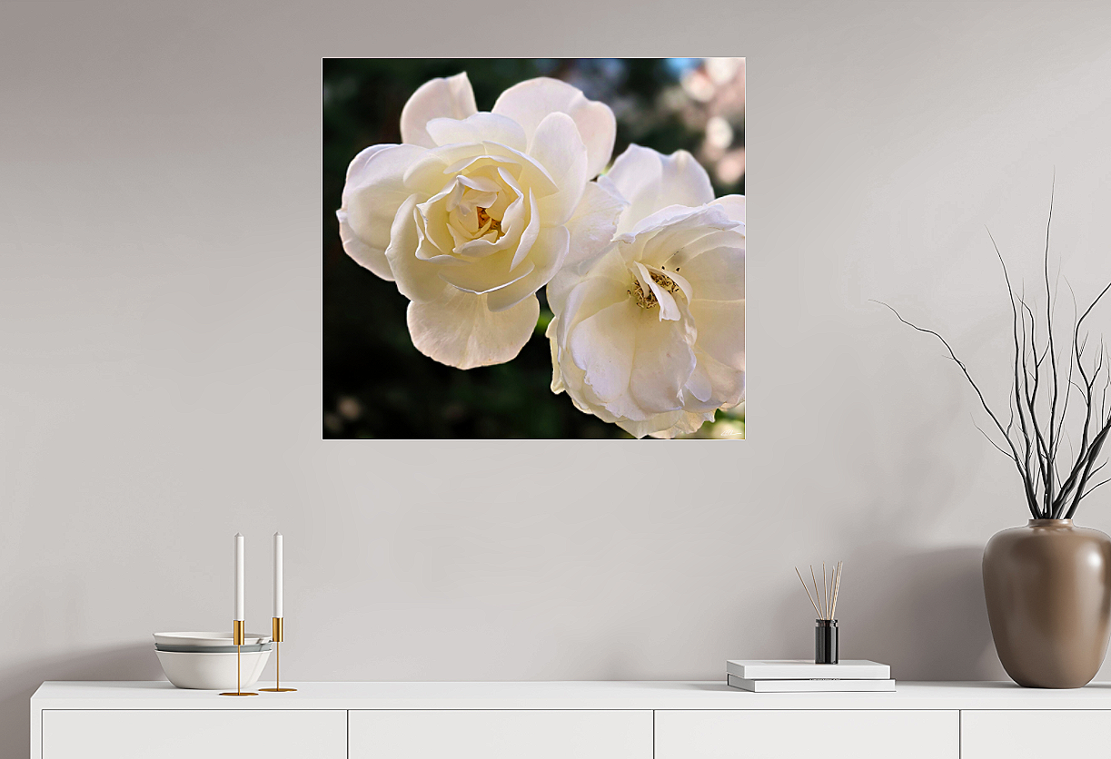 Ivory+Benediction+l+unframed+room+view.png