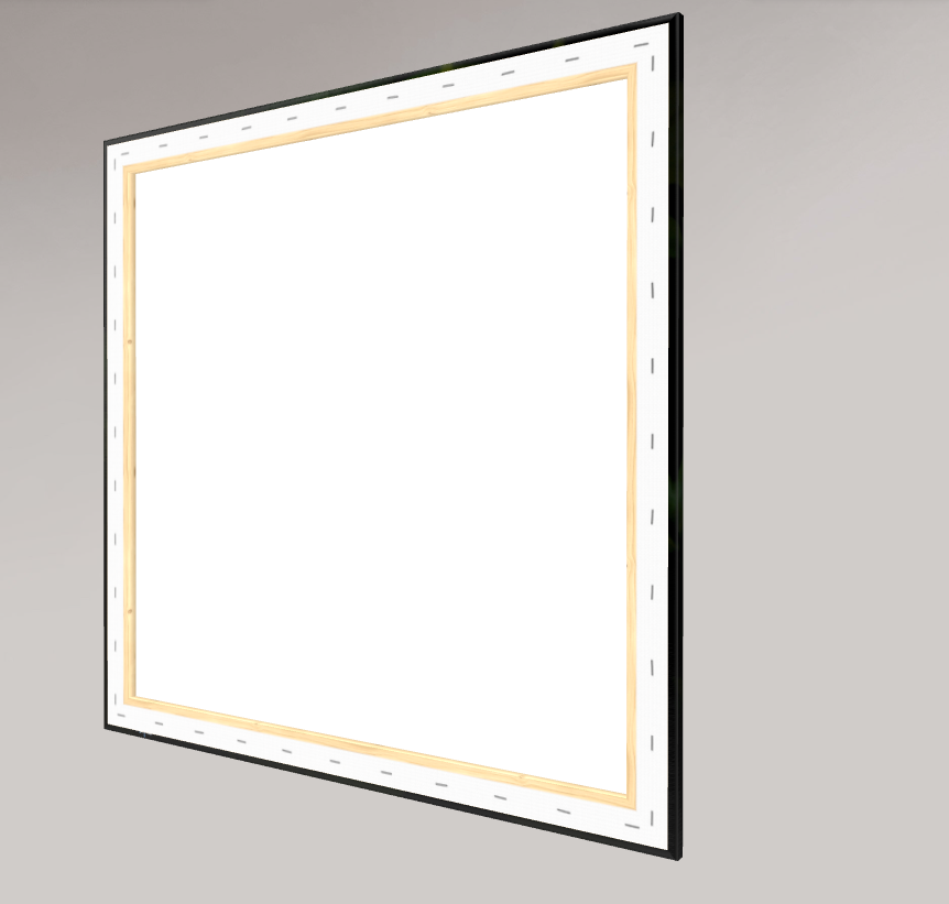 Brushfire Canvas rear view.png