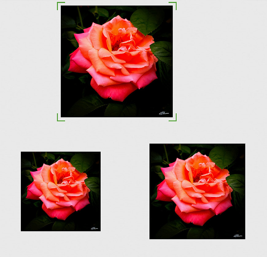 Brushfire+unframed+3+sizes.png