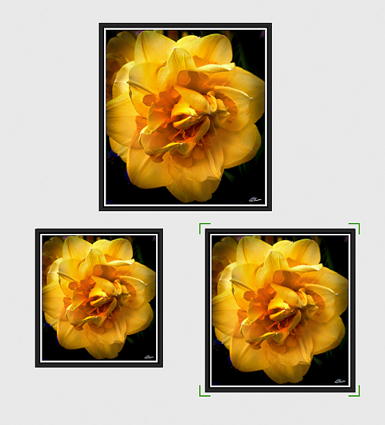 Golden+Surge+framed+3+sizes.png