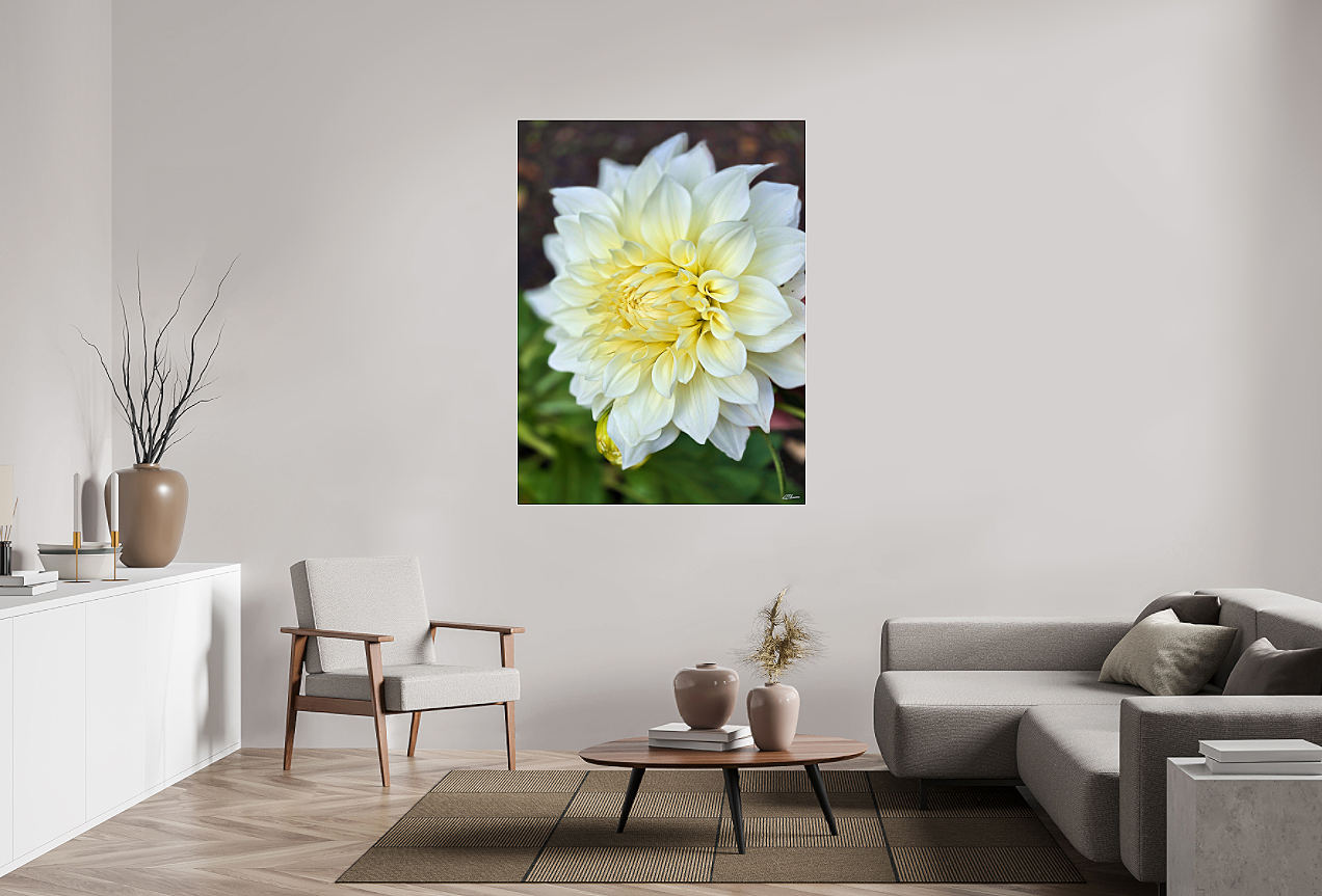 White+Velvet+unframed+room+view.png
