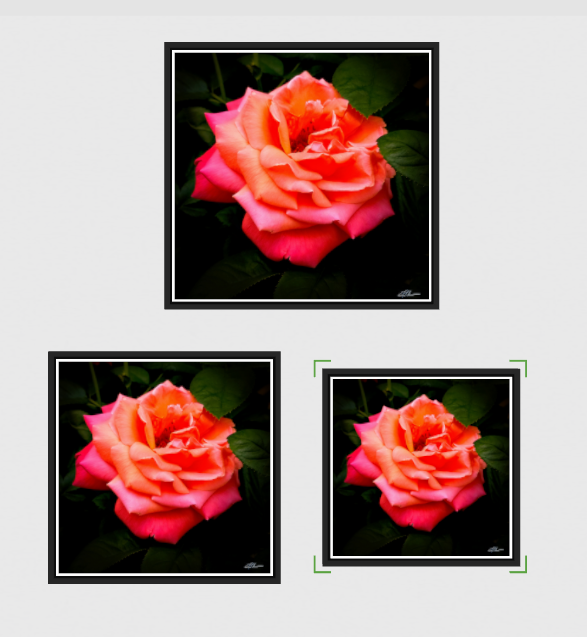 Brushfire framed 3 sizes.png