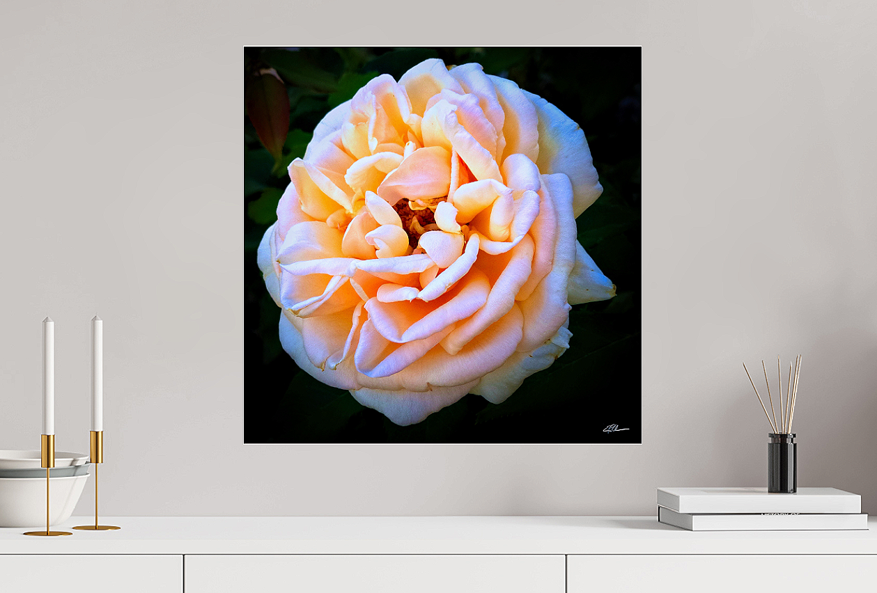 Blushrose+Metallic+unframed.png