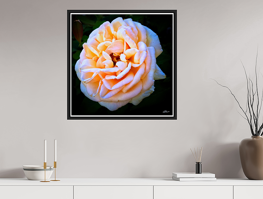 Rose+Reverie+Framed+room+view.png