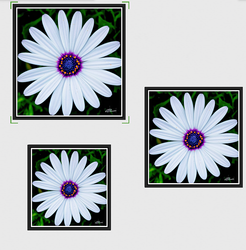 Quiet+Geometry+framed+3+sizes.png