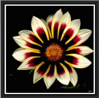 Imperfect Perfection Metallic framed.png
