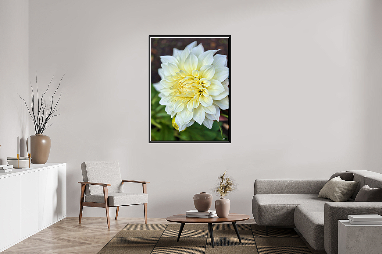 White+Velvet+Framed+room+view+.png