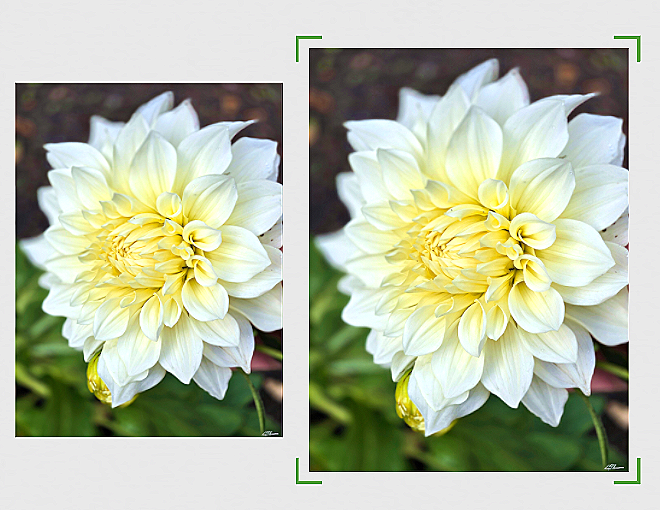 White+Velvet+Canvas+2+sizes.png