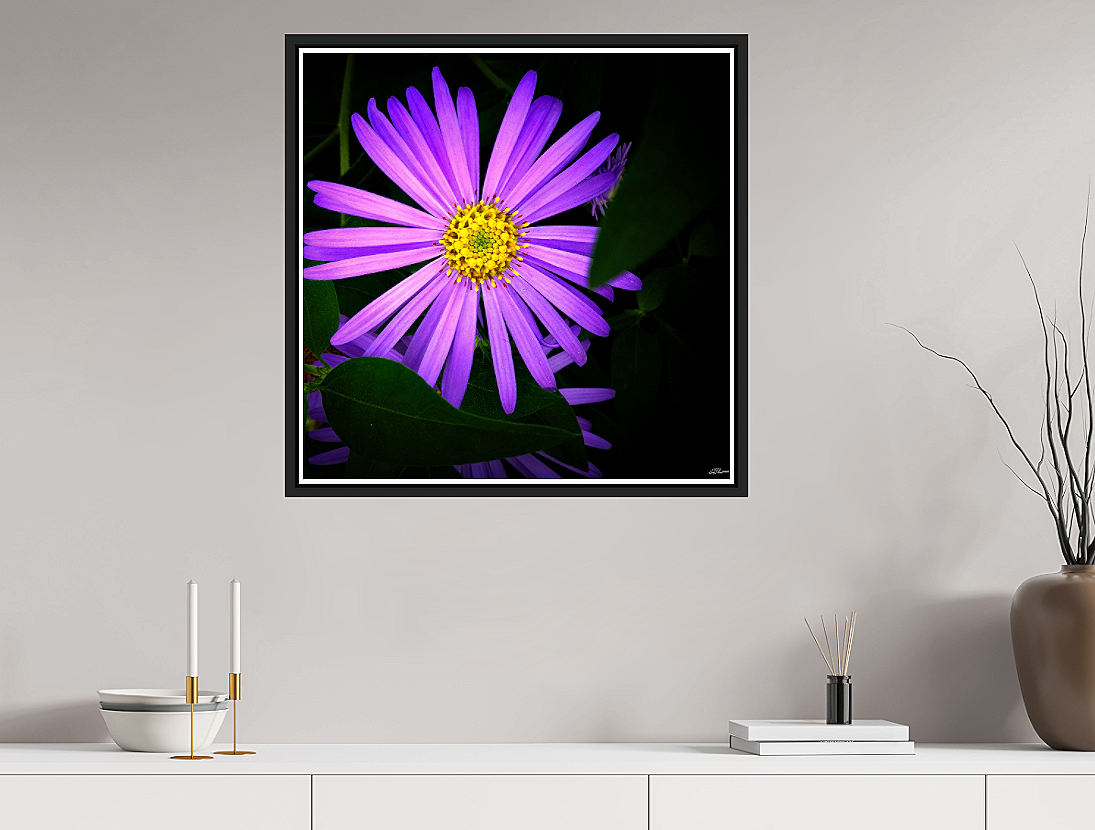 Michaelmas+in+Violet+metallic+framed+room+view.png