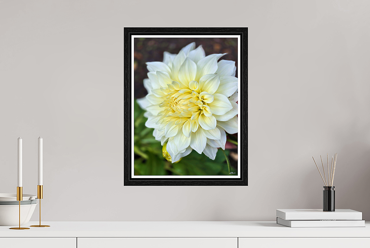 White+Velvet+Framed+room+view+2.png