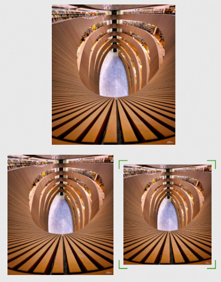 Amber Symphony l unframed 3 sizes.png