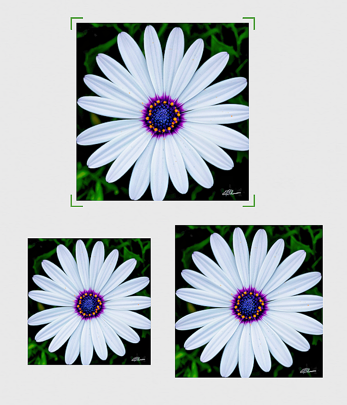 Quiet+Geometry+unframed+3+sizes.png
