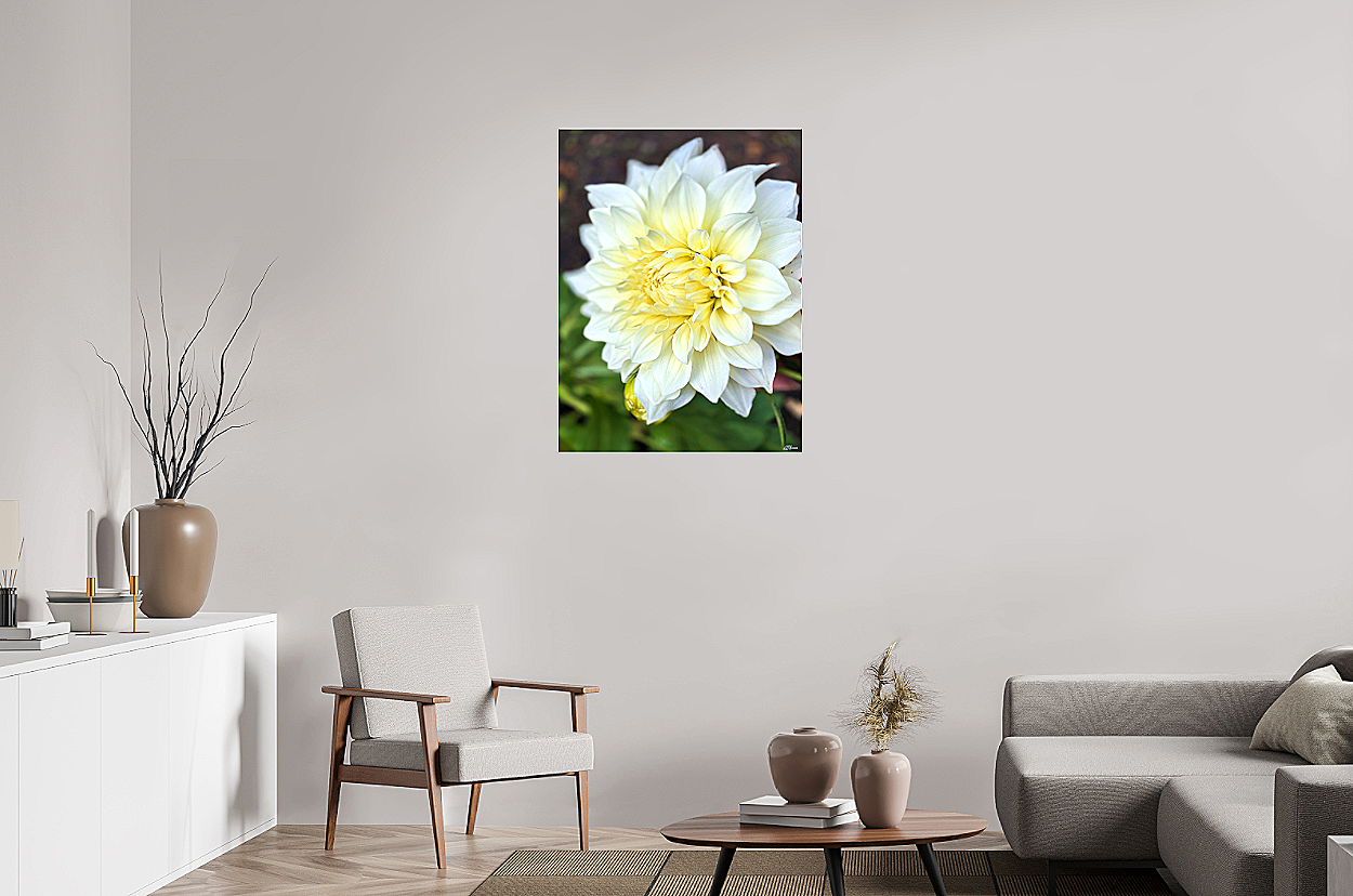 White+Velvet+unframed+room+view.png