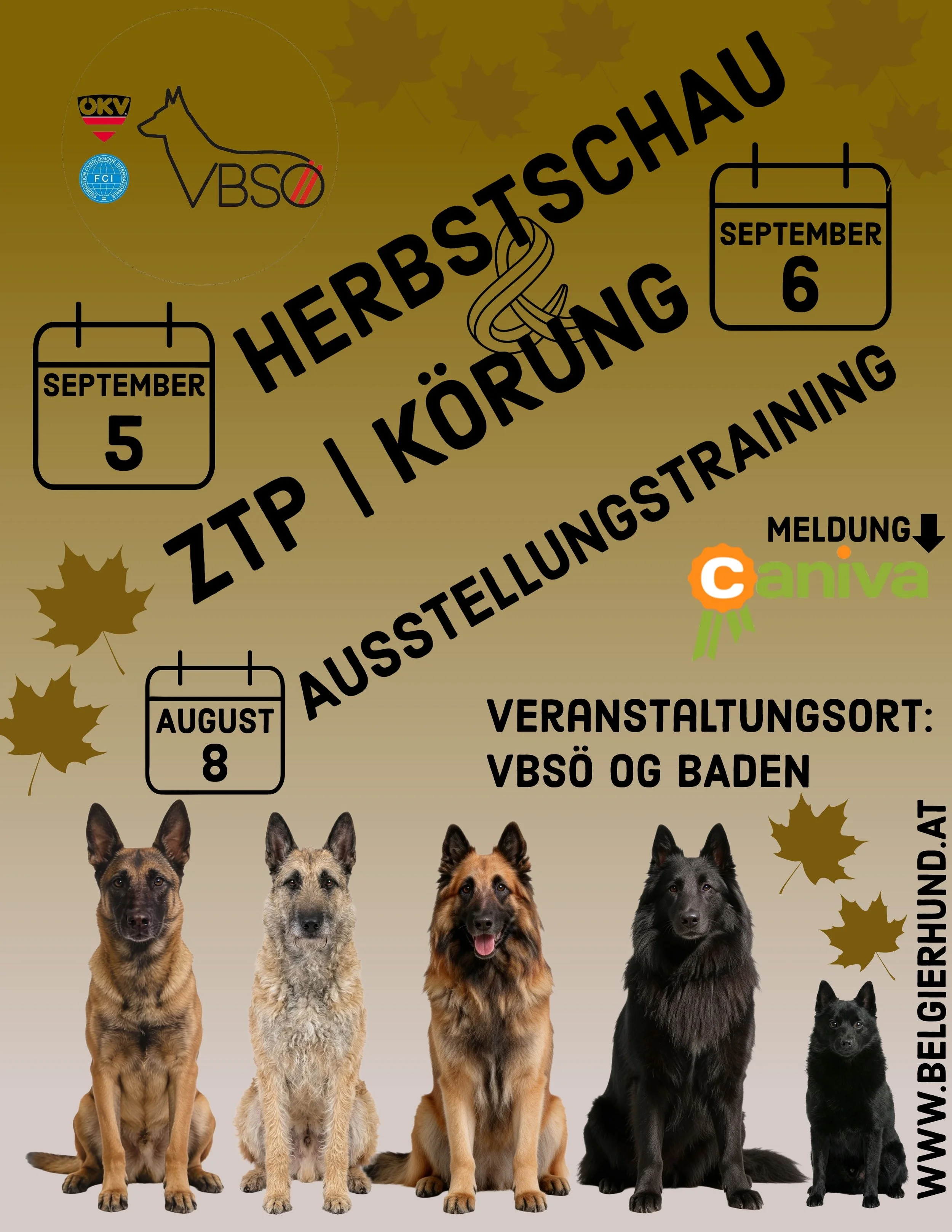 Unbenannt - 29. Juni 2026 um 14.02.19 (2).jpg
