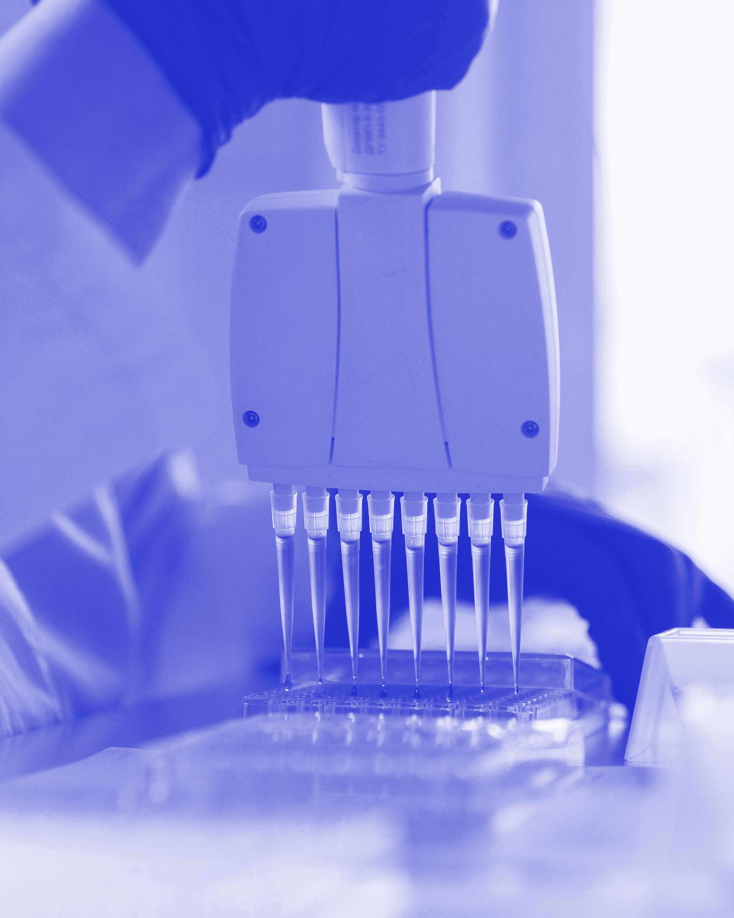 Ein Laborroboter mit mehreren Pipetten, das eine Flüssigkeit in eine Reaktionsplatte pipettiert, mit Wissenschaftlerhand im Hintergrund.