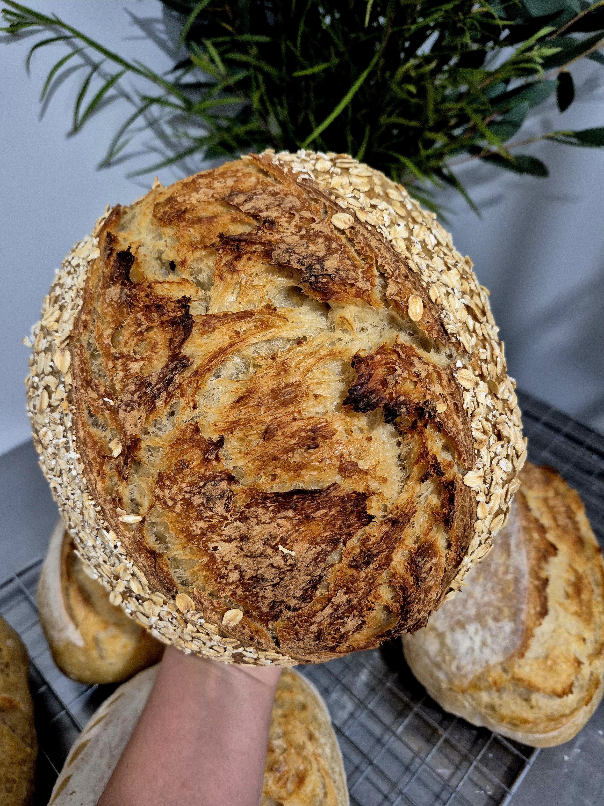 Honey Oat Loaf.jpg