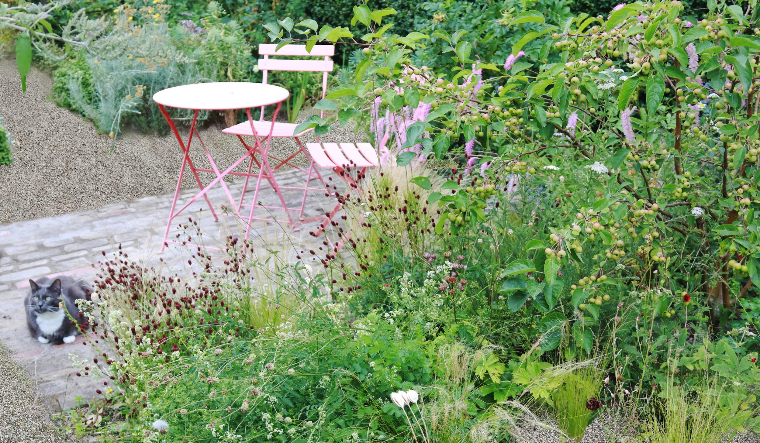 Mrytle update cat enhance.jpg