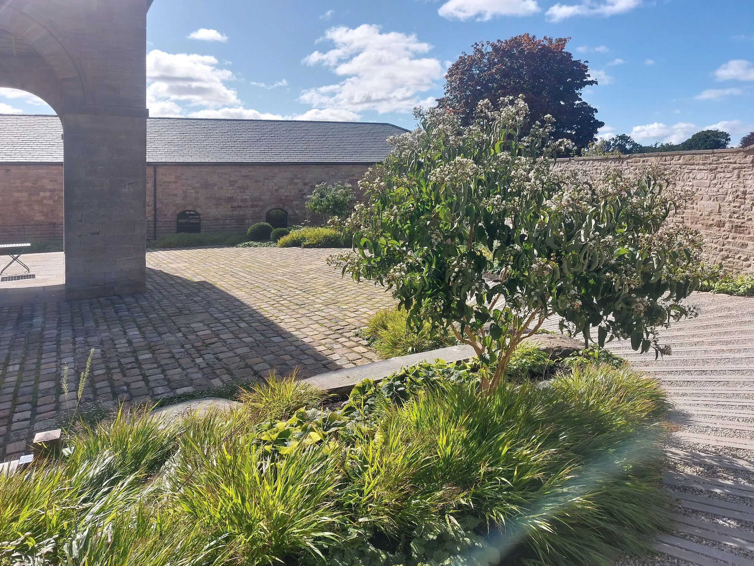 New public gardens at Raby Castle in the north east. this space is multi functional and is designed to host markets.