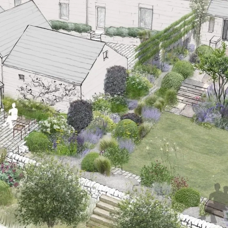 Gardens for a cut flower grower in Wildboarclough